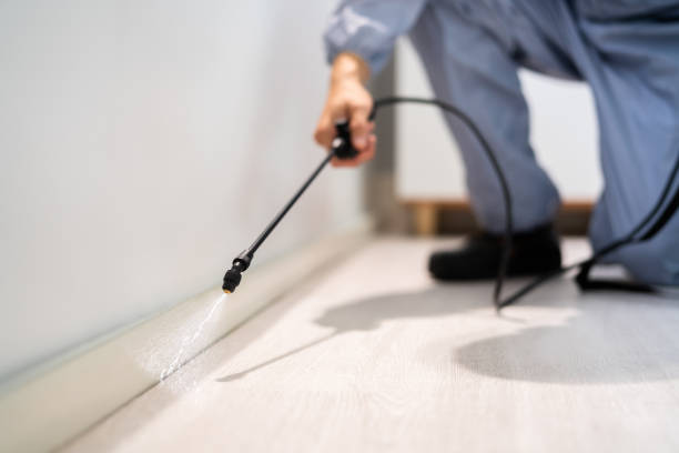 Licensed Cockroach Control service in Port Wentworth, GA - Nex Pest Control