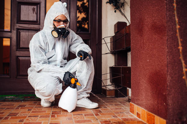 Reliable Cockroach Control contractor in Port Wentworth, GA by Nex Pest Control